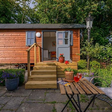 Hawthorn Hut Kilkenny Glamping At Jenkinstown House Hotel Jenkinstown Park ภายนอก รูปภาพ