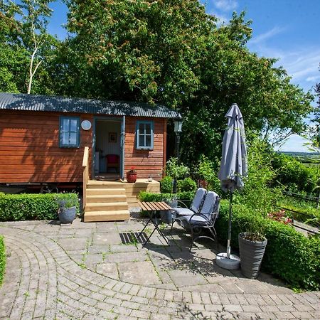 Hawthorn Hut Kilkenny Glamping At Jenkinstown House Hotel Jenkinstown Park ภายนอก รูปภาพ