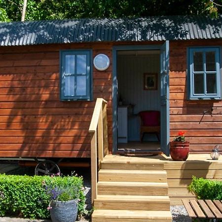 Hawthorn Hut Kilkenny Glamping At Jenkinstown House Hotel Jenkinstown Park ภายนอก รูปภาพ