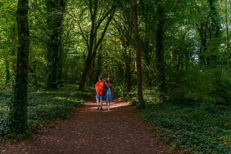 Hawthorn Hut Kilkenny Glamping At Jenkinstown House Hotel Jenkinstown Park ภายนอก รูปภาพ